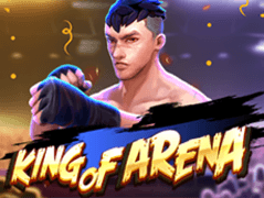King Of Arena screenshot